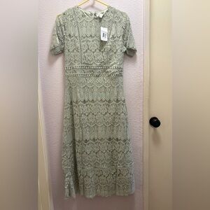 Chic Lace Midi Dress in Soft Green